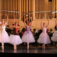 ballet dancers 