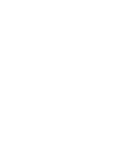 Flying Home logo