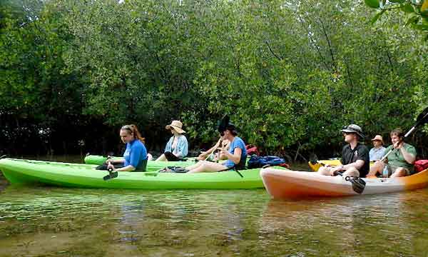 Summer Field Classes