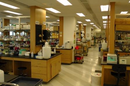 A photo of the biochemistry lab