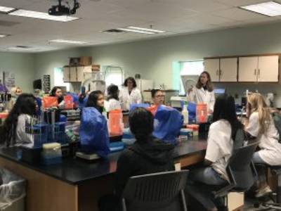 A photo of students in a clinical lab sciences lab