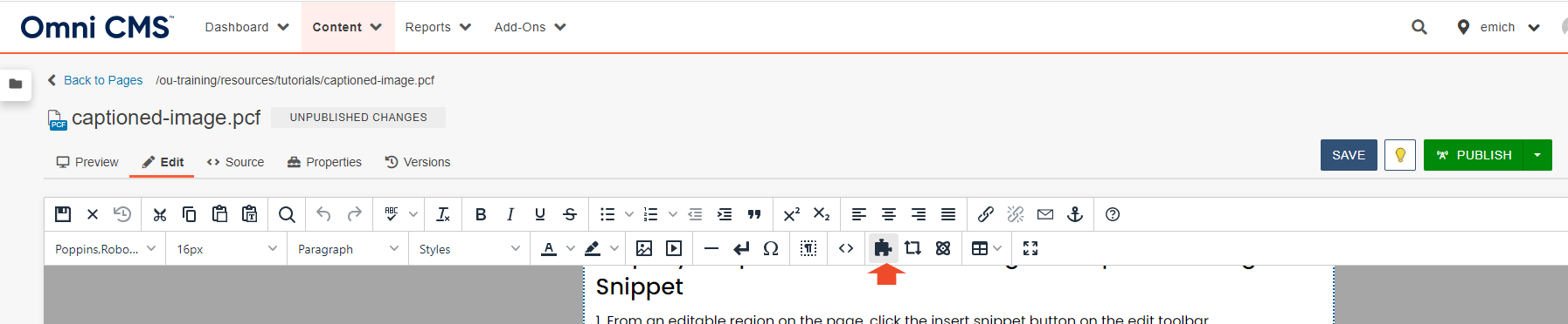 A screenshot of the insert snippet button in the Omni CMS edit toolbar.