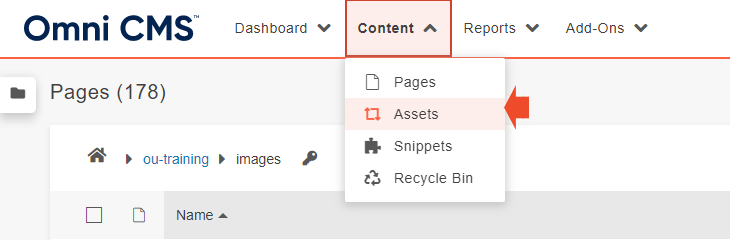 Screenshot of Content > Assets page