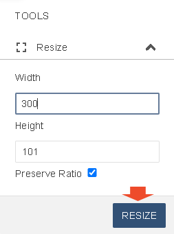 This image shows where the Resize button is located.
