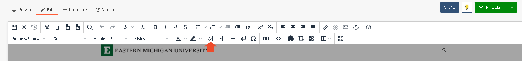 A screenshot of the insert image button in the Omni CMS edit toolbar.