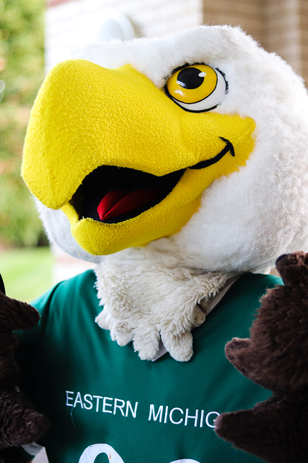 A photo of Swoop