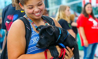 The Wellness Woof program brings licensed therapy dogs to campus.