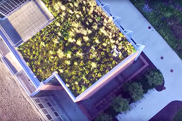 Aerial photo of plants growing on top of the Mark Jefferson Science Complex